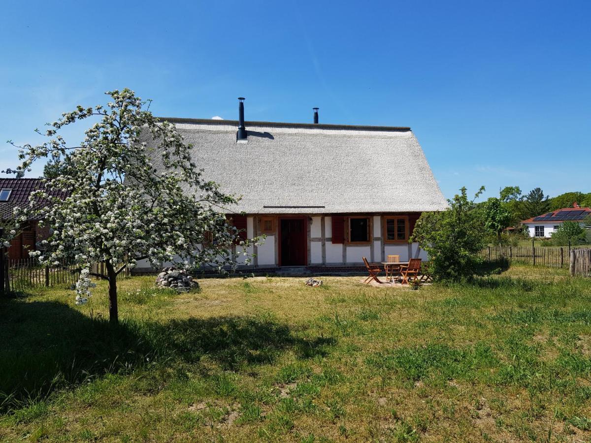Altwarp Fischerhus Luett Hauke 69 Qm Traudel מראה חיצוני תמונה